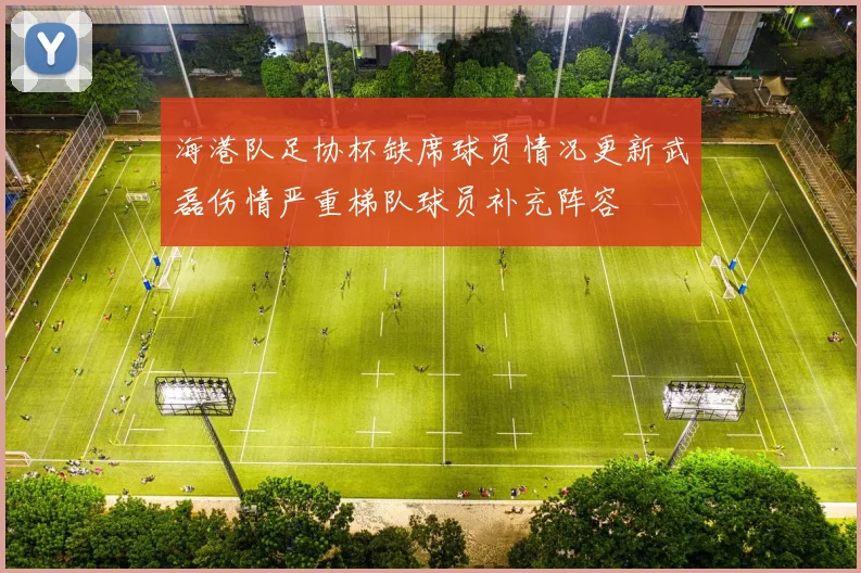 海港队足协杯缺席球员情况更新武磊伤情严重梯队球员补充阵容